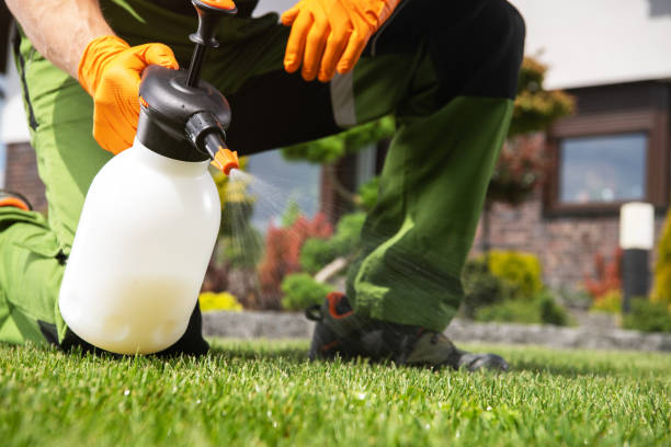 Best Flea Control Services  in Cheswold, DE
