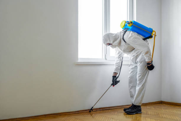 Best Best Pest Control Companies  in Cheswold, DE